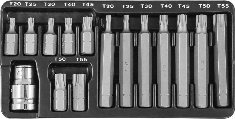 Набор вставок-бит 10 мм  TORX® (30 и 75 мм), Т20-Т55, 15 предметов
