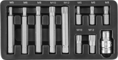 Набор вставок-бит 10 мм Spline М-профиль (30 и 75 мм), М5-М12, 11 предметов